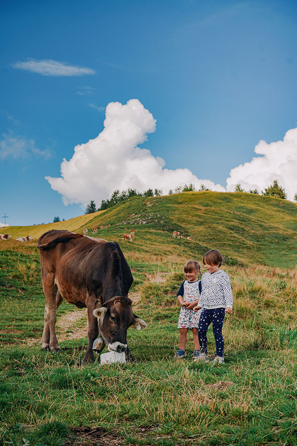 dos niños y una vaca